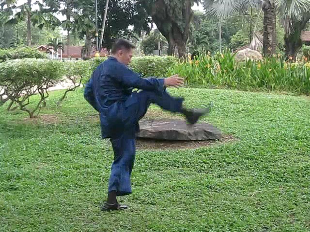 Wu Yu Xiang Style Taijiquan